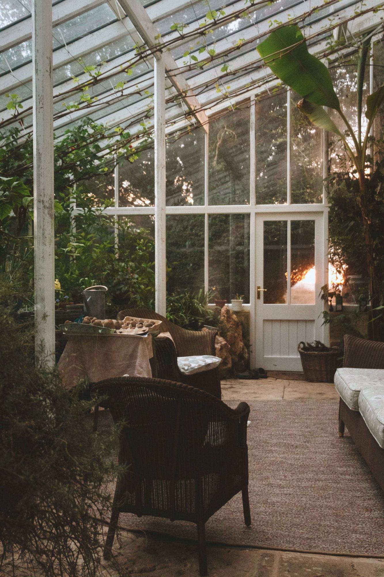 A glass-roofed room with plants and armchairs