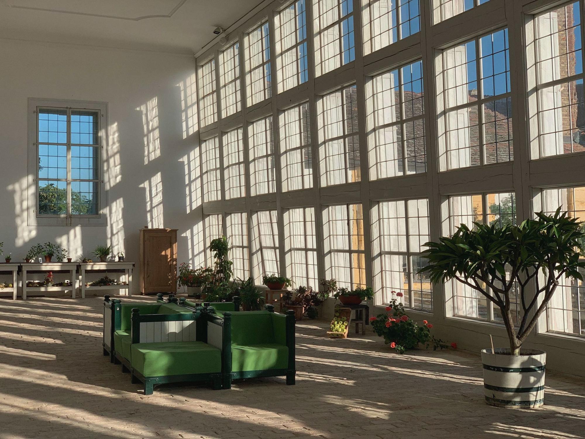 A long sunlit room with tall steel windows and plants